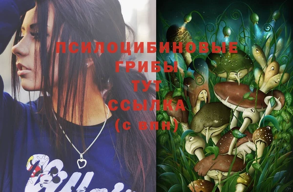 ГАЛЛЮЦИНОГЕННЫЕ ГРИБЫ Верхнеуральск