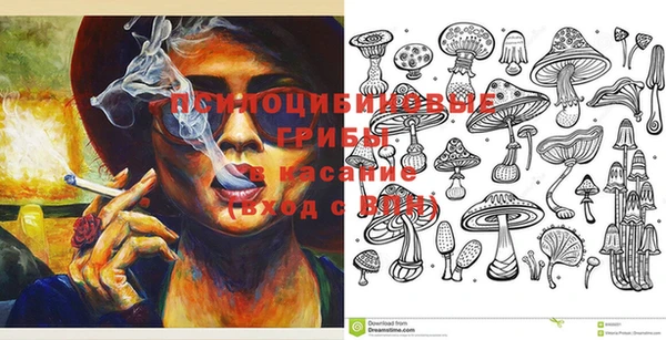 ГАЛЛЮЦИНОГЕННЫЕ ГРИБЫ Верхнеуральск