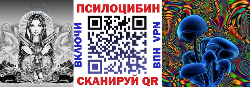 omg ссылки  Вытегра  Галлюциногенные грибы MAGIC MUSHROOMS 